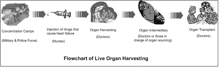 2010-2-21-organ-harvest-chapter8-RE_html_m5c1c8968.png
