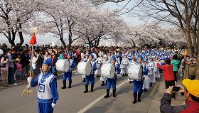 法轮功天国乐团十七日在轮中路樱花节上表演