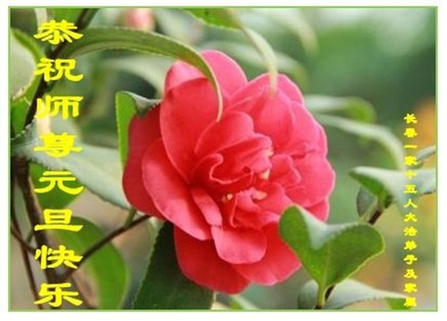 Image for article Praktisi Falun Dafa dari Kota Changchun dengan Hormat Mengucapkan Selamat Tahun Baru kepada Guru Li Hongzhi (23 Ucapan)