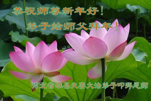 Image for article Praktisi Falun Dafa dari Kota Baoding Mengucapkan Selamat Tahun Baru Imlek kepada Guru Terhormat (23 Ucapan)