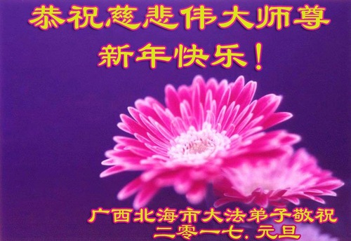 Image for article Praktisi Falun Gong dari Daerah Etnis Mengucapkan Selamat Tahun Baru Kepada Guru Li Hongzhi