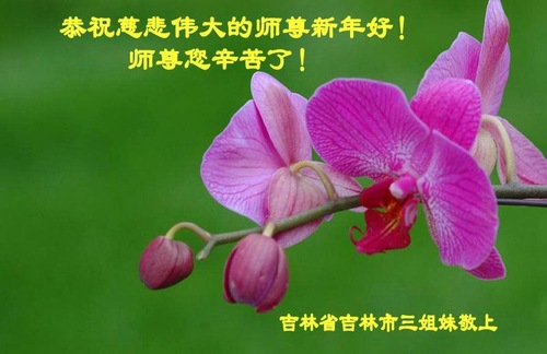 Image for article Praktisi Falun Dafa dari Kota Jilin dengan Hormat Mengucapkan Selamat Tahun Baru Imlek kepada Guru Li Hongzhi (20 Ucapan)