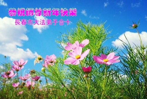 Image for article Praktisi Falun Dafa dari Kota Changchun Mengucapkan Selamat Tahun Baru Imlek kepada Guru Terhormat (19 Ucapan)