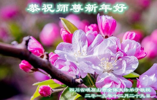 Image for article I praticanti della Falun Dafa della provincia del Sichuan augurano rispettosamente al Maestro Li Hongzhi un felice anno (26 saluti)