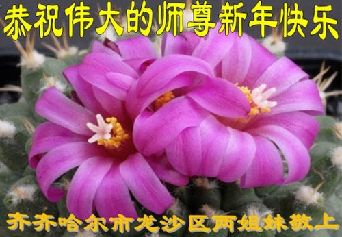 Image for article Praktisi Falun Dafa dari Kota Qiqihar dengan Hormat Mengucapkan Selamat Tahun Baru kepada Guru Li Hongzhi (21 Ucapan)