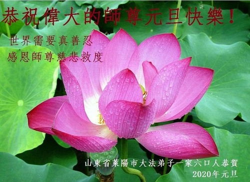 Image for article Praktisi Falun Dafa dari Provinsi Shandong dengan Hormat Mengucapkan Selamat Tahun Baru kepada Guru Li Hongzhi (19 Ucapan)