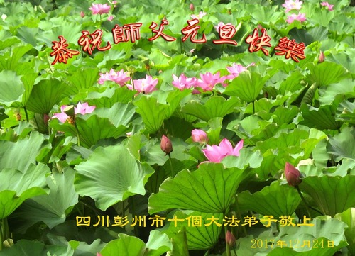 Image for article Praktisi Falun Dafa dari Kota Chengdu dengan Hormat Mengucapkan Selamat Tahun Baru kepada Guru Li Hongzhi (18 Ucapan)