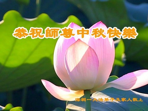 Image for article ​I praticanti della Falun Dafa della provincia del Guangdong augurano rispettosamente al Maestro Li Hongzhi una felice festa di mezzo autunno (32 cartoline)