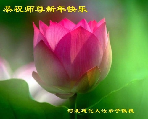 Image for article ​  I praticanti della Falun Dafa della città di Tangshan augurano rispettosamente al Maestro Li Hongzhi un felice anno nuovo cinese (31 saluti)