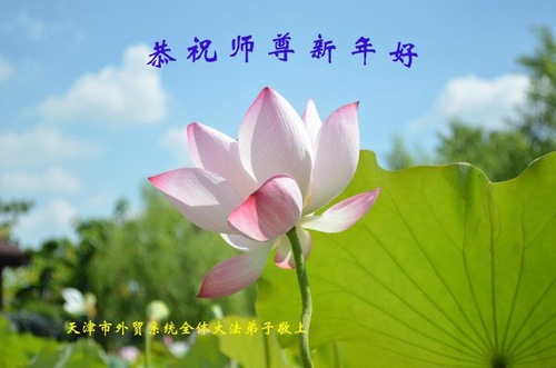 Image for article Praticanti della Falun Dafa che esercitano diverse professioni in Cina augurano rispettosamente al Maestro Li Hongzhi un felice Anno Nuovo! (29 saluti) 