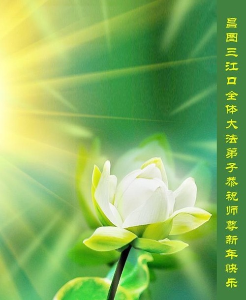 Praktisi Falun Dafa di Tiongkok Mengucapkan Selamat Tahun Baru Imlek kepada Guru Terhormat!