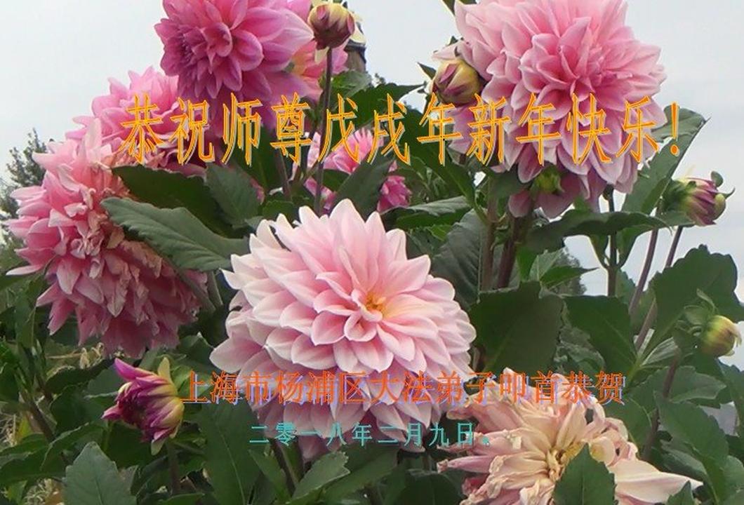 http://en.minghui.org/u/article_images/2018-2-10-1802090549773p0_01.jpg