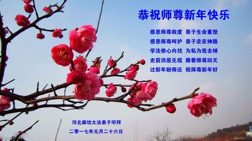 Image for article Praktisi Falun Dafa dari Kota Langfang dengan Hormat Mengucapkan Selamat Tahun Baru Imlek kepada Guru Li Hongzhi (28 Ucapan)
