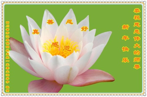 Image for article Praktisi Falun Dafa dari Berbagai Profesi Mengucapkan Selamat Tahun Baru Imlek kepada Guru Li Hongzhi Terhormat (27 Ucapan)