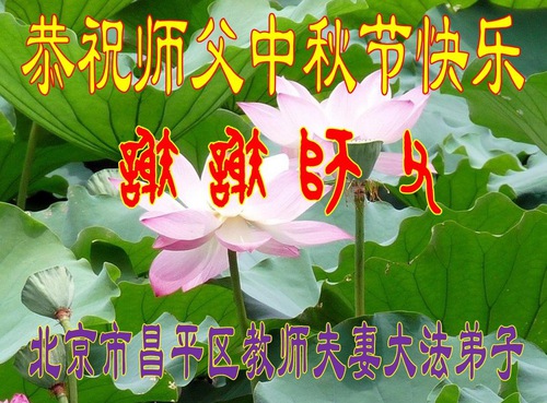 Image for article تمرین‌کنندگان فالون دافا در نظام آموزشی چین جشنواره نیمه پاییز را به استاد لی هنگجی تبریک می‌گویند (24 تبریک)