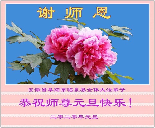Image for article I praticanti della Falun Dafa della provincia di Anhui augurano rispettosamente al Maestro Li Hongzhi un felice anno nuovo (25 saluti)