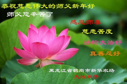Image for article I praticanti della Falun Dafa della provincia di Heilongjiang augurano rispettosamente al Maestro Li Hongzhi un felice anno nuovo (19 saluti)