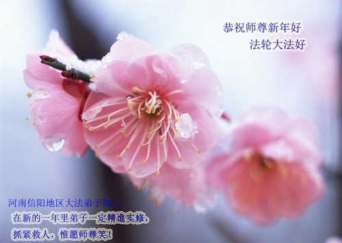 Image for article Praktisi Falun Dafa dari Provinsi Henan dengan Hormat Mengucapkan Selamat Tahun Baru kepada Guru Li Hongzhi (27 Ucapan)