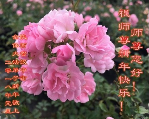 Image for article Praktisi Falun Dafa dari Provinsi Shaanxi dengan Hormat Mengucapkan Selamat Tahun Baru kepada Guru Li Hongzhi (22 Ucapan)