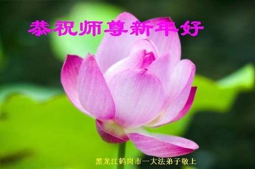 Image for article I praticanti della Falun Dafa della provincia di Heilongjiang augurano rispettosamente al Maestro Li Hongzhi un felice anno nuovo cinese (21 saluti)