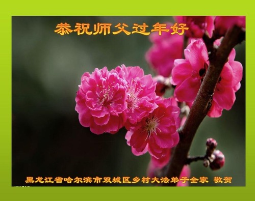 Image for article Praktisi Falun Dafa dari Pedesaan Dengan Hormat Mengucapkan Selamat Tahun Baru Imlek kepada Guru Li Hongzhi (99 Ucapan)