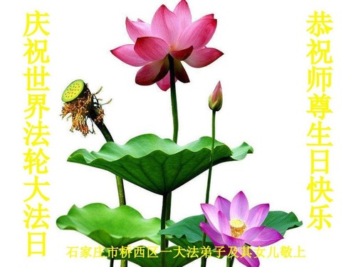 Image for article Praktisi Falun Dafa dari Kota Shijiazhuang Merayakan Hari Falun Dafa Sedunia dan Dengan Hormat Mengucapkan Selamat Ulang Tahun kepada Guru Li Hongzhi (19 Ucapan)