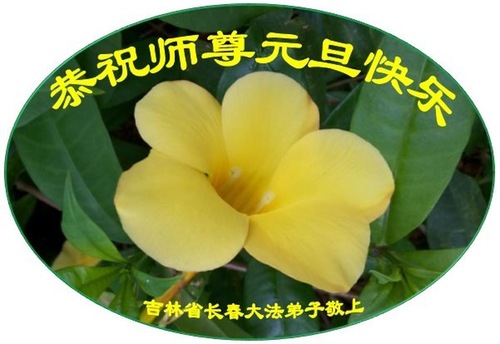 Image for article Praktisi Falun Dafa dari Kota Changchun dengan Hormat Mengucapkan Selamat Tahun Baru kepada Guru Li Hongzhi (19 Ucapan)