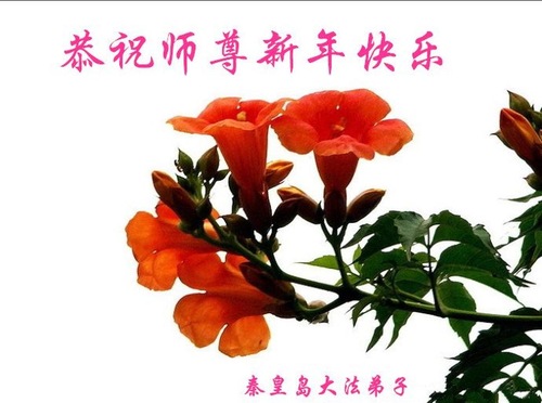 Image for article Praktisi Falun Dafa dari Kota Qinhuangdao dengan Hormat Mengucapkan Selamat Tahun Baru Imlek kepada Guru Li Hongzhi (19 Ucapan)