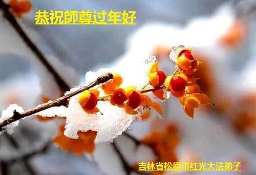 Image for article Praktisi Falun Dafa dari Daerah Pedalaman Dengan Hormat Mengucapkan Selamat Tahun Baru Imlek kepada Guru Li (56 Ucapan)