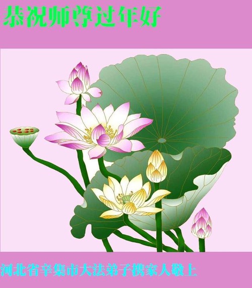 Image for article Praktisi Falun Dafa dari Kota Shijiazhuang Mengucapkan Selamat Tahun Baru Imlek kepada Guru Li Hongzhi Terhormat (28 Ucapan)