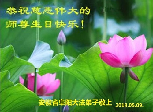 Image for article Praktisi Falun Dafa dari Provinsi Anhui Merayakan Hari Falun Dafa Sedunia dan Dengan Hormat Mengucapkan Selamat Ulang Tahun kepada Guru Li Hongzhi (28 Ucapan)