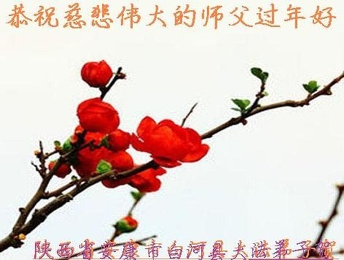Image for article Praktisi Falun Dafa dari Provinsi Shaanxi dengan Hormat Mengucapkan Selamat Tahun Baru kepada Guru Li Hongzhi (21 Ucapan)