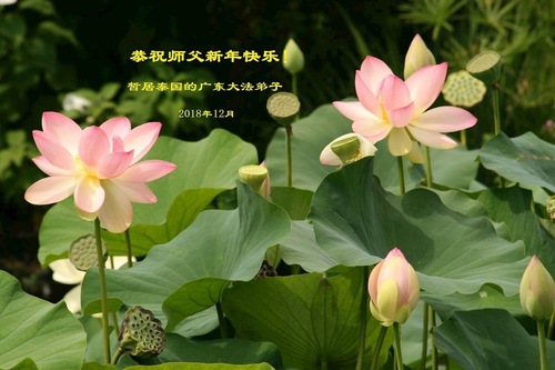 Image for article Praktisi Falun Dafa dari Thailand dengan Hormat Mengucapkan Selamat Tahun Baru kepada Guru Li Hongzhi 
