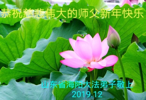 Image for article I praticanti della Falun Dafa residenti nelle campagne augurano rispettosamente al Maestro Li Hongzhi un felice anno nuovo (28 saluti)