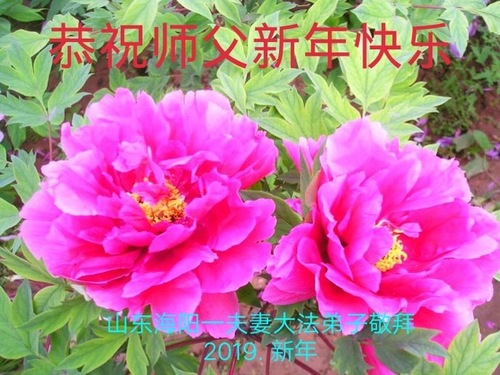 Image for article Praticanti della Falun Dafa delle zone rurali della Cina augurano rispettosamente al Maestro Li Hongzhi un Felice Nuovo Anno Cinese (20 auguri)