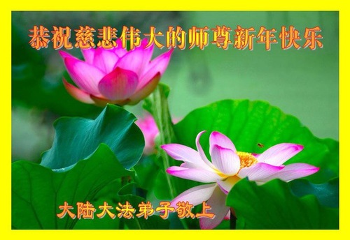 Image for article Praktisi Falun Dafa dari Pedesaan Mengucapkan Selamat Tahun Baru Imlek kepada Guru Li Hongzhi Terhormat (26 Ucapan)