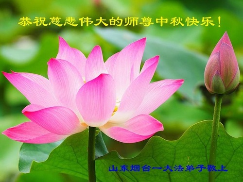 Image for article ​I praticanti della Falun Dafa della provincia dello Shandong augurano rispettosamente al Maestro Li Hongzhi una felice festa di mezzo autunno (25 cartoline)
