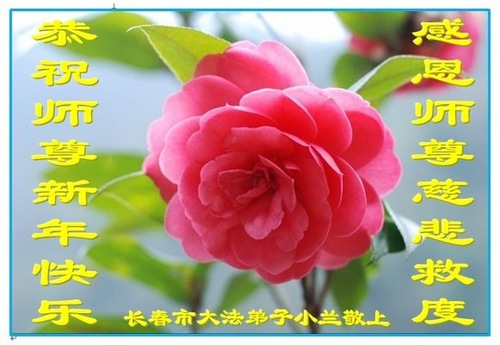 Image for article Praktisi Falun Dafa dari Kota Changchun dengan Hormat Mengucapkan Selamat Tahun Baru Imlek kepada Guru Li Hongzhi (21 Ucapan) 
