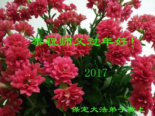 Image for article Praktisi Falun Dafa dari Kota Baoding dengan Hormat Mengucapkan Selamat Tahun Baru Imlek kepada Guru Li Hongzhi (22 Ucapan)