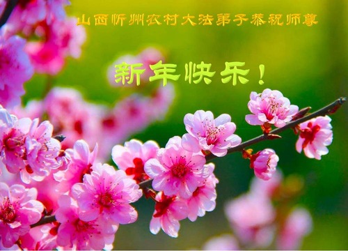 Image for article Praktisi Falun Dafa dari Pedesaan dengan Hormat Mengucapkan Selamat Tahun Baru Imlek kepada Guru Terhormat