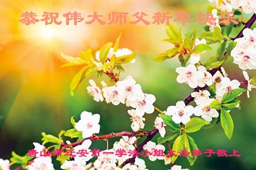 Image for article I praticanti della Falun Dafa della città di Tangshan augurano rispettosamente al Maestro Li Hongzhi un felice anno nuovo cinese (31 saluti)
