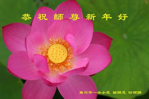 Image for article Praktisi Falun Dafa dari Kota Guangzhou dengan Hormat Mengucapkan Selamat Tahun Baru kepada Guru Li Hongzhi (22 Ucapan)
