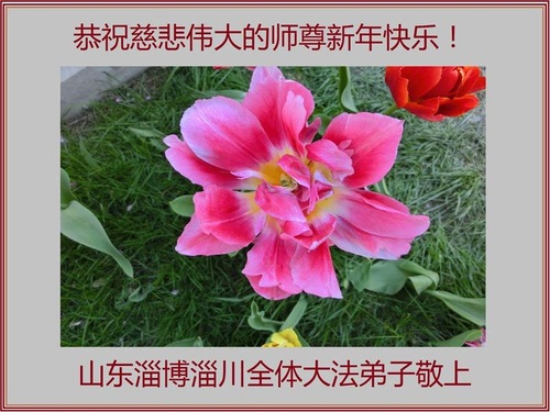 Image for article Praktisi Falun Dafa dari Provinsi Shandong dengan Hormat Mengucapkan Selamat Tahun Baru kepada Guru Li Hongzhi (30 Ucapan)