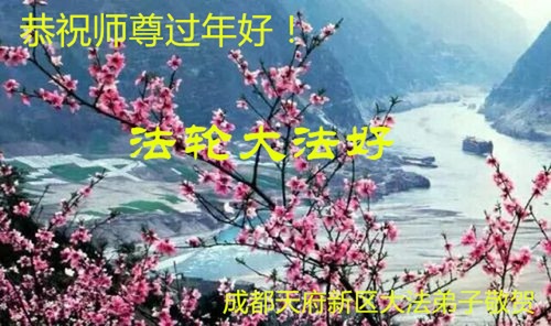 Image for article Praktisi Falun Dafa dari Sichuan, Hebei, Beijing, Mongolia Dalam, dan Heilongjiang dengan Hormat Mengucapkan Selamat Tahun Baru Imlek kepada Guru Li Hongzhi (30 Ucapan)