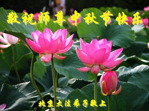 Image for article Praktisi Falun Dafa dari Beijing Dengan Hormat Mengucapkan Selamat Merayakan Pertengahan Musim Gugur kepada Guru Li Hongzhi (21 Ucapan)