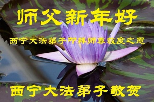 Image for article Praktisi Falun Dafa dari Provinsi Shandong dan Qinghai Mengucapkan Selamat Tahun Baru kepada Guru Li Hongzhi (36 Ucapan)