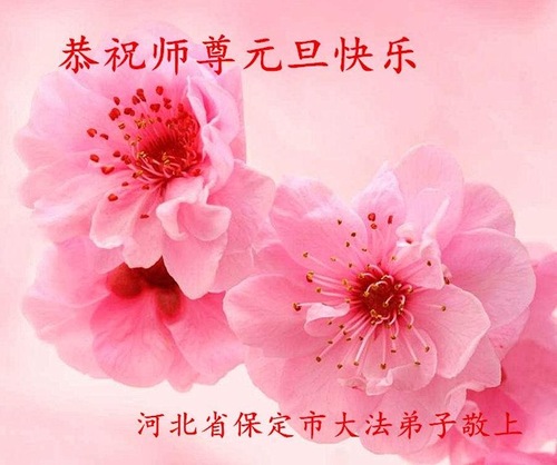 Image for article Praktisi Falun Dafa dari Kota Baoding Mengucapkan Selamat Tahun Baru kepada Guru Li Hongzhi Terhormat (23 Ucapan)