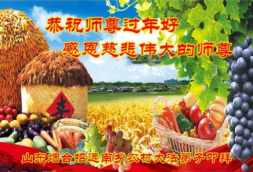 Image for article I praticanti della Falun residenti nelle campagne in Cina rispettosamente augurano al Maestro Li Hongzhi un felice Capodanno cinese (19 Saluti)