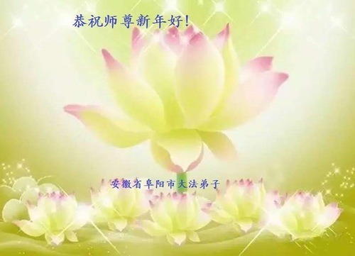 Image for article Praktisi Falun Dafa dari Provinsi Anhui dengan Hormat Mengucapkan Selamat Tahun Baru Imlek kepada Guru Li Hongzhi (26 Ucapan)