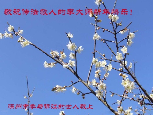 Pendukung Falun Dafa Mengucapkan Selamat Tahun Baru Imlek kepada Guru Li Hongzhi yang Terhormat (27 Ucapan)